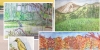 watercolor art pieces from Beauty in Nature Drawing and Watercolor Class